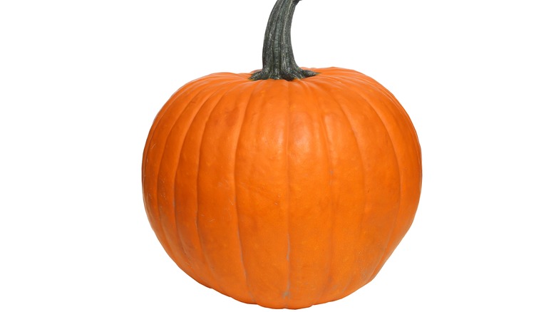 Pumpkin