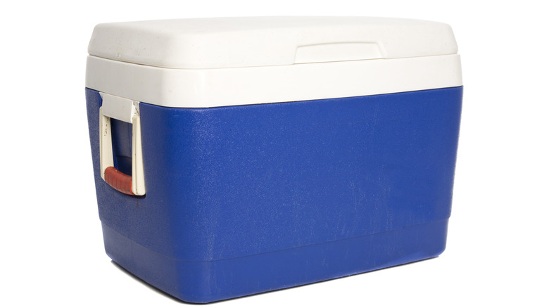 Blue cooler with lid on 