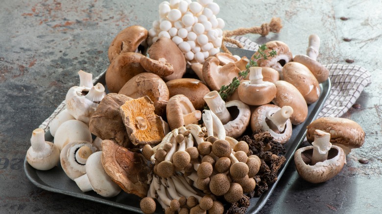 mushroom assortment