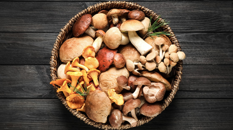 bowl of mixed mushrooms 