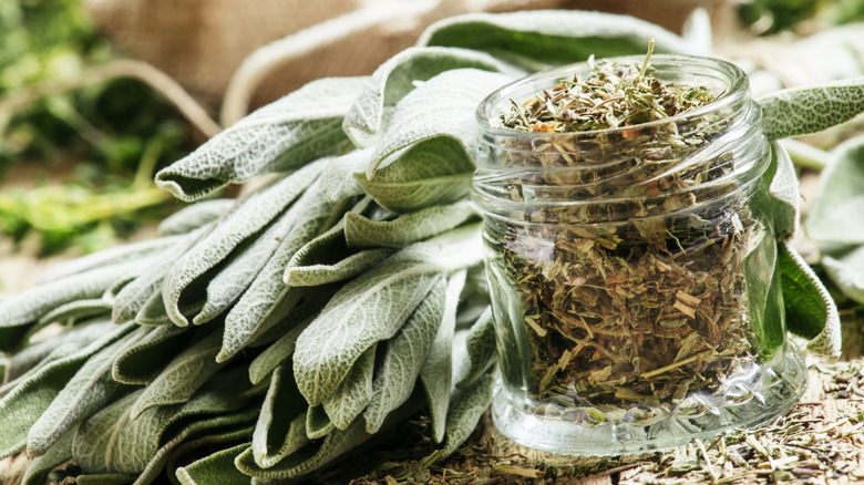 Dried and fresh sage