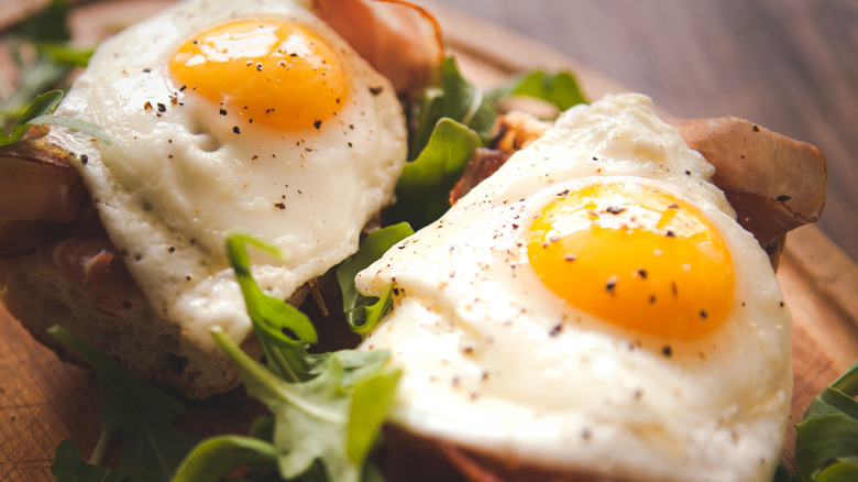 Close-up of fried eggs