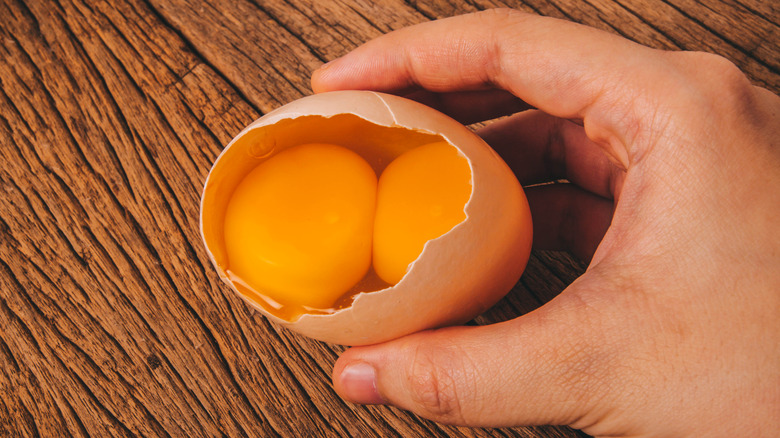 hand holding an egg with two yolks inside