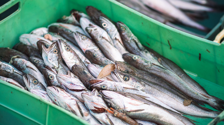 Dead cod in green crate 