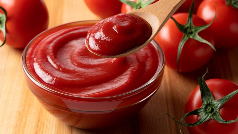 A small bowl and spoonful of ketchup surrounded by tomatoes