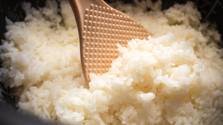 Rice in a rice cooker