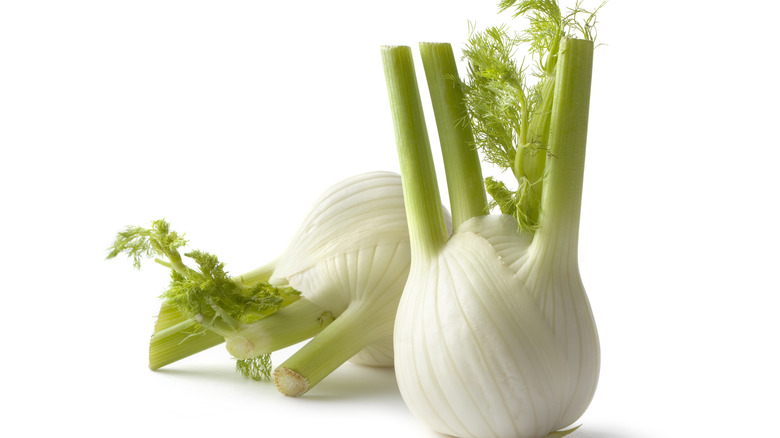 fennel bulbs