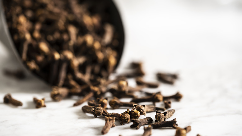 Cloves poured out on white table