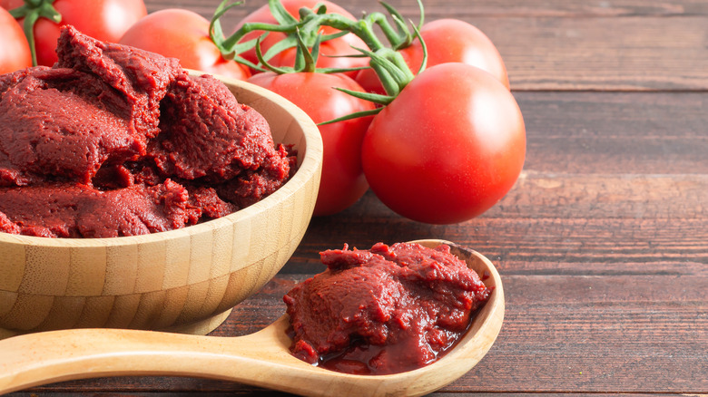 tomato paste in spoon and bowl