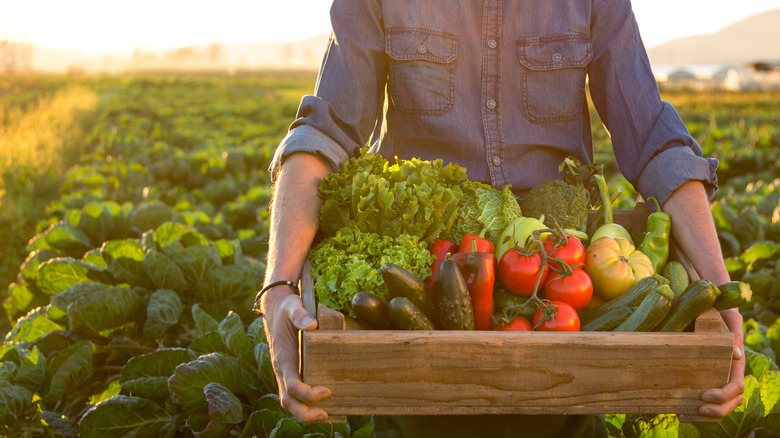 Farmer holding box of fresh produce