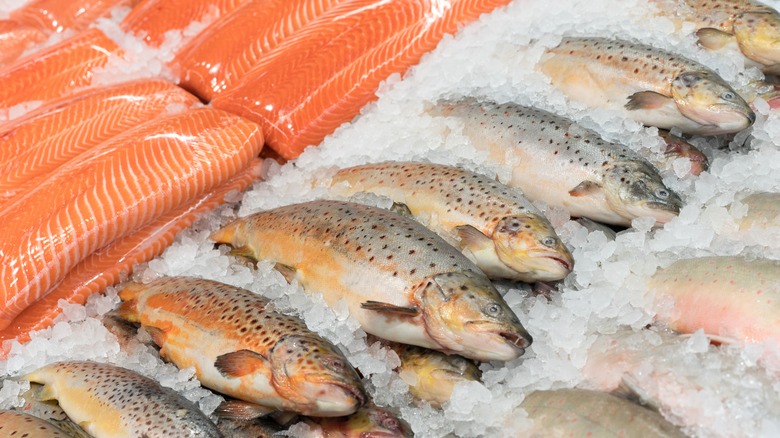 Several different fish on ice at a market.