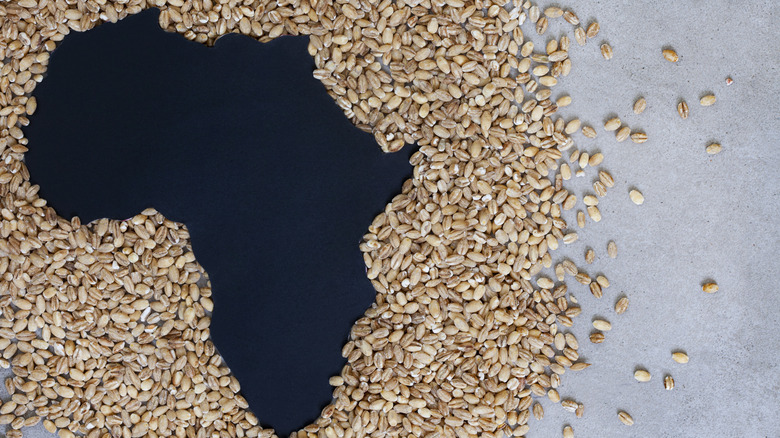 Outline of Africa in pile of wheat, representing food shortage