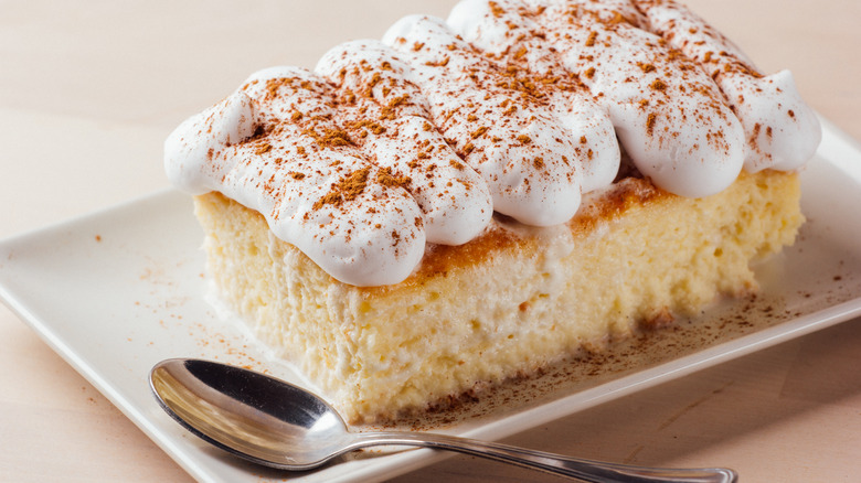 Tres leches cake with cinnamon