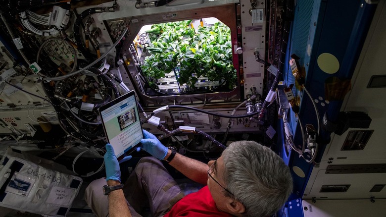 Astronaut Mark Vande Hei by the chile hatch