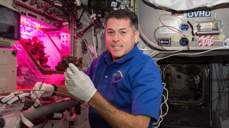 Astronaut Shane Kimbrough with space-grown romaine lettuce