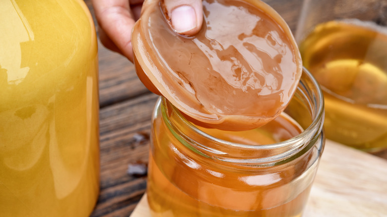 Person holding kombucha SCOBY