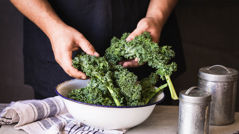 Kale leaves with stalks