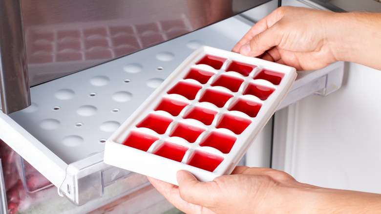 Putting wine cubes in freezer