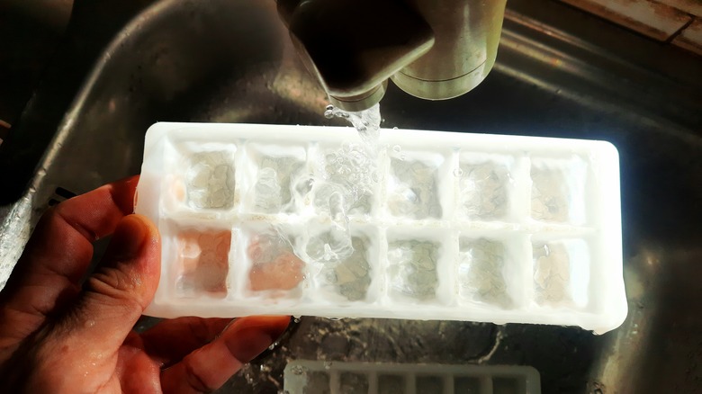 filling ice cube tray with water