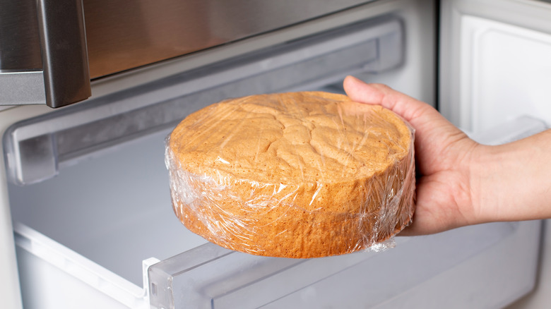 person putting a cake in the freezer