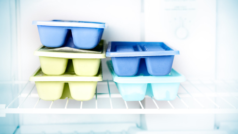 ice cube tray in freezer