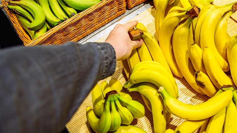 Hand picking bunch of bananas