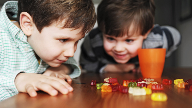 Two boys inspecting gummy bears