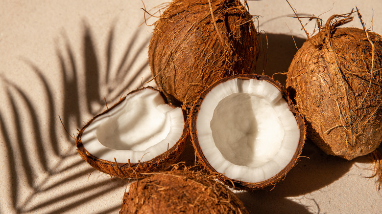 Coconut halves on sandy background.