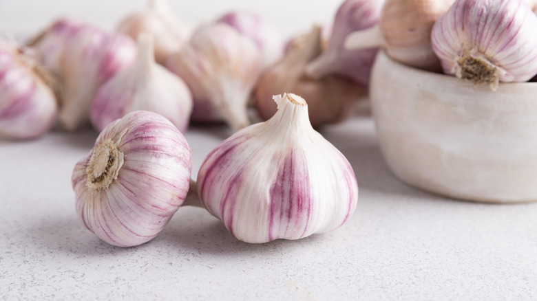 Garlic bulbs on kitchen countertop