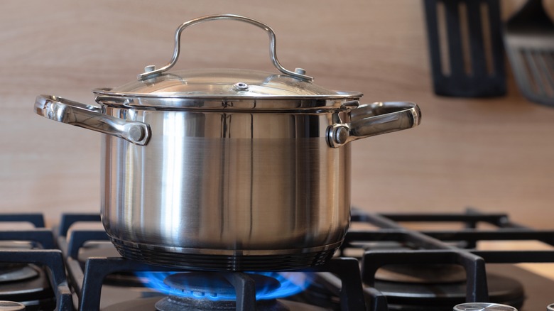 pot on a gas stove