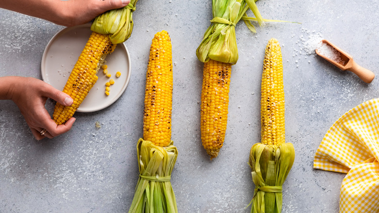 Corn on the cob with husk handle