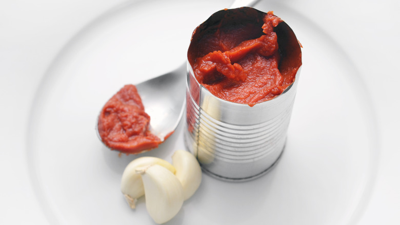 A can of tomato paste and garlic