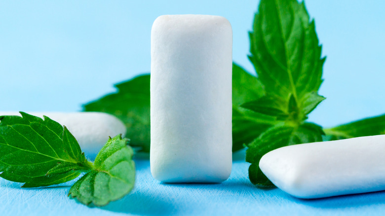 White gum with mint leaves