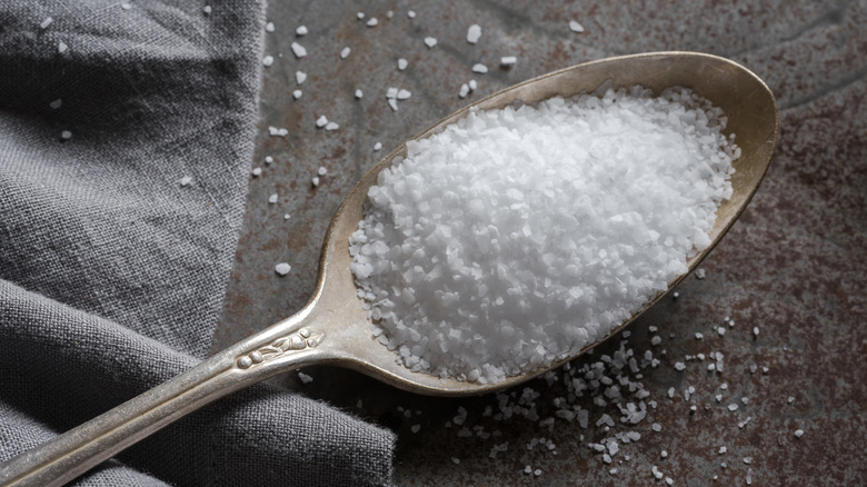 spoon of kosher salt