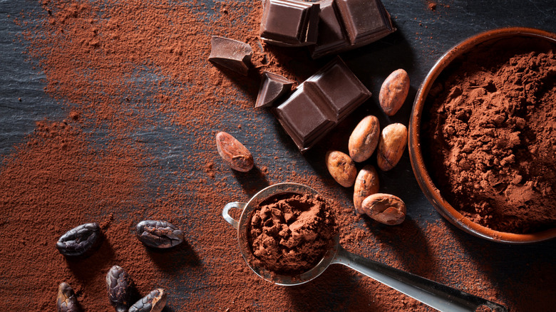 Dark chocolate, cocoa beans, and cocoa powder