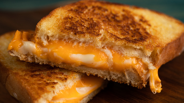 Closeup of a grilled cheese
