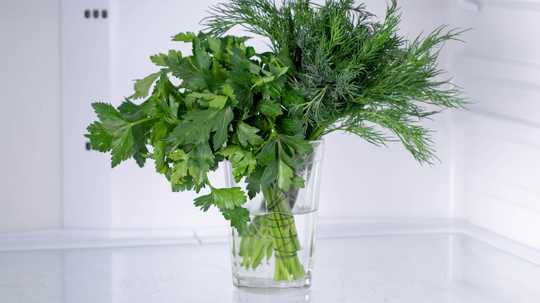 Fresh herbs in a glass of water