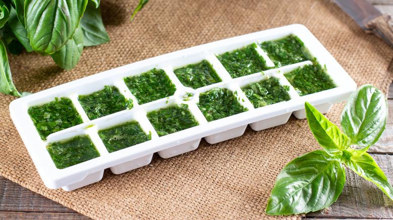 Chopped basil in an ice cube tray 