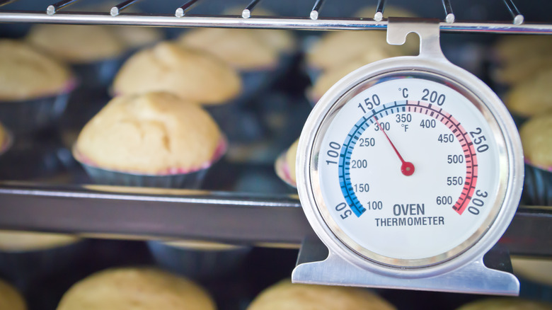 oven thermometer baking muffins