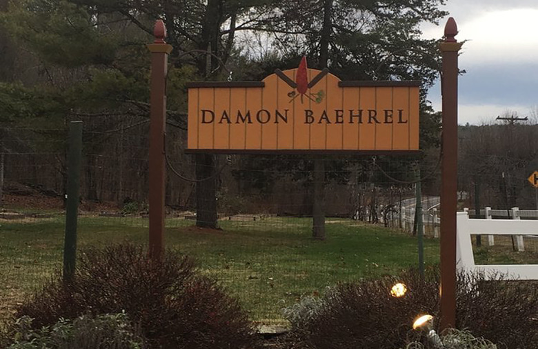 Damon Baehrel (Earlton, New York)