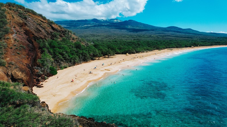 Photo of Hawaiian beach