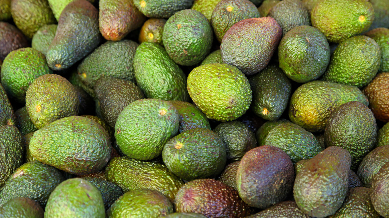 Pile of ripe and unripe avocados