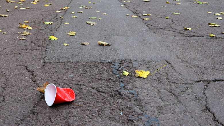 forgotten solo cup on driveway