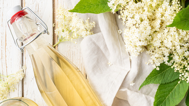 Bottle with airtight flip cap and elderberry flowers