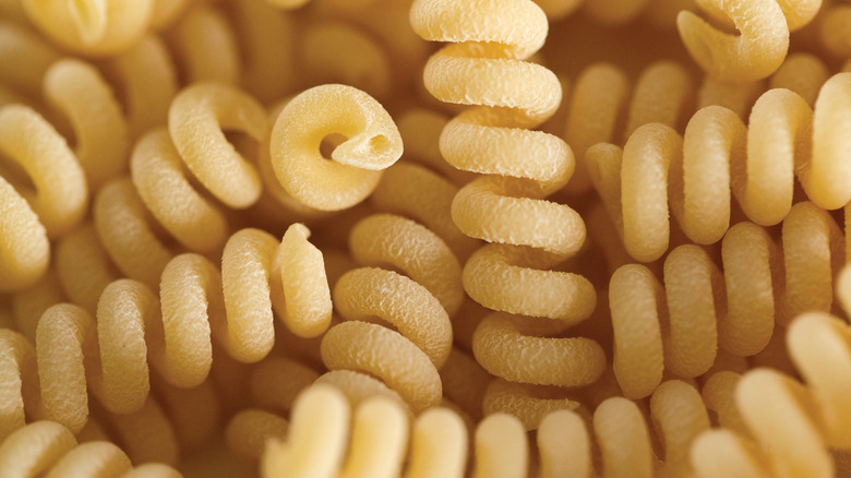 Closeup of gemelli pasta