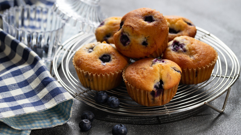 Homemade blueberry muffins cooling down