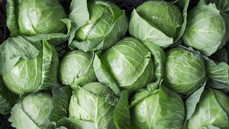 Whole and half mini green cabbage against white background