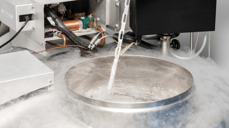 vat of liquid nitrogen 