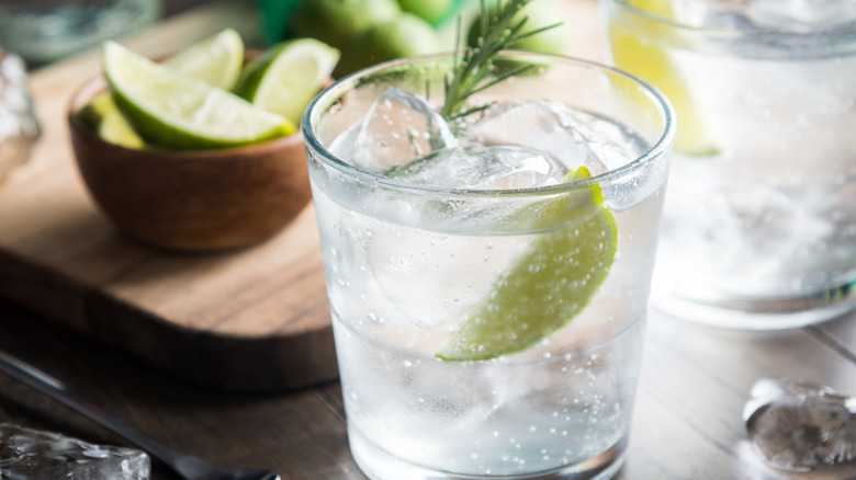 Classic gin and tonic