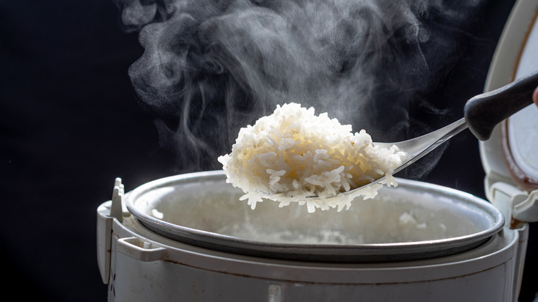 A spoonful of freshly cooked jasmine rice